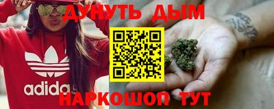 гидра Тверь